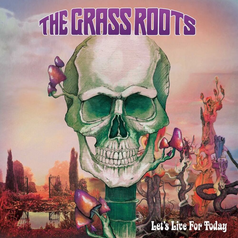 The Grass Roots - Let's Live For Today  LP LP